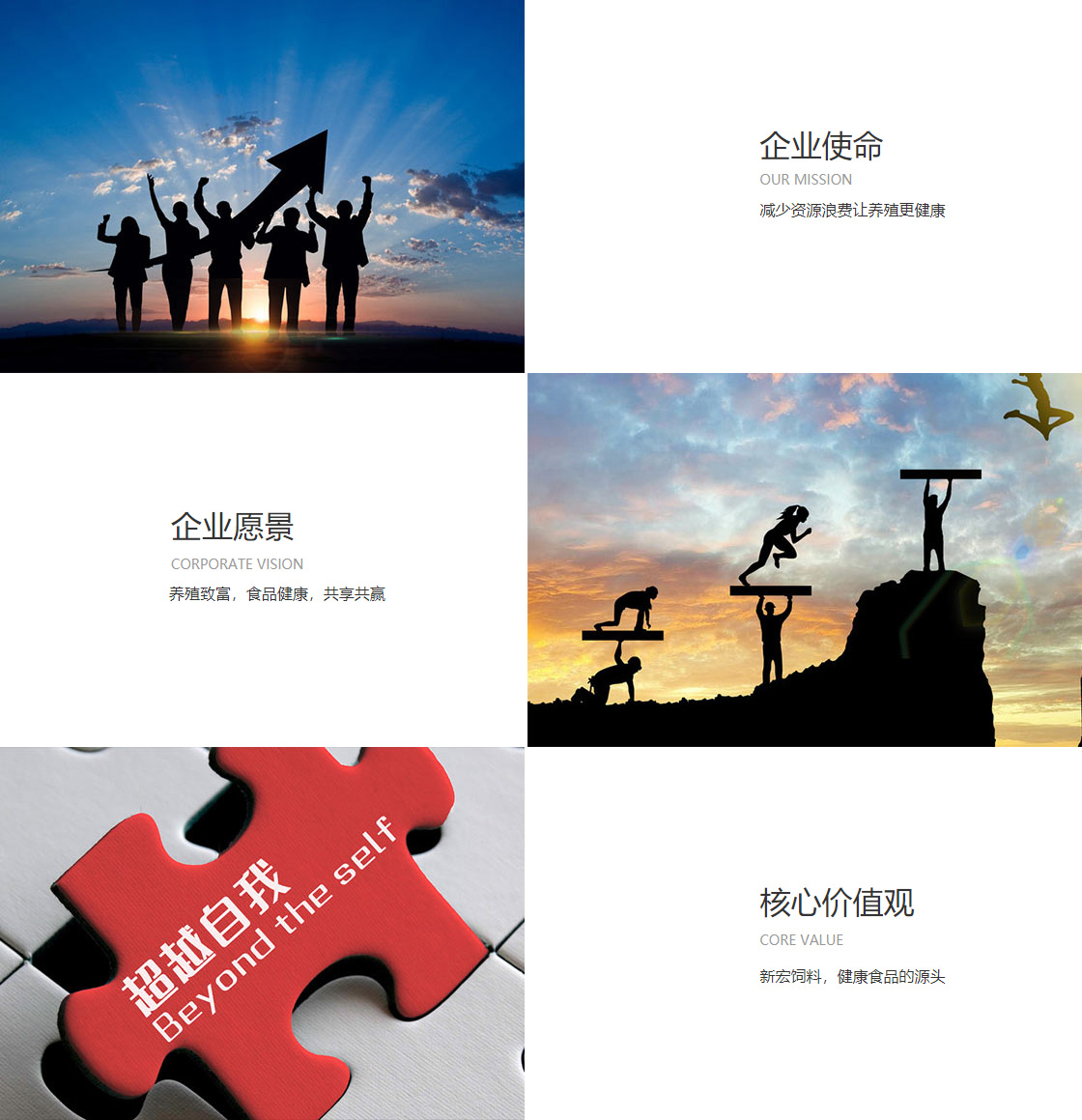 易彩堂平台(图1)